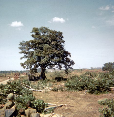 Rome plows clearing out the bush