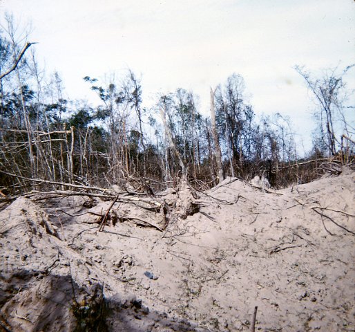 217BombCrater