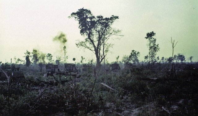 Roam Plows in the Jungle That Last Tree-1