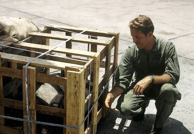 x My cousin Captain  Muffley (AirForce),  flew Caribous into small special forces camps like Loch Ninh