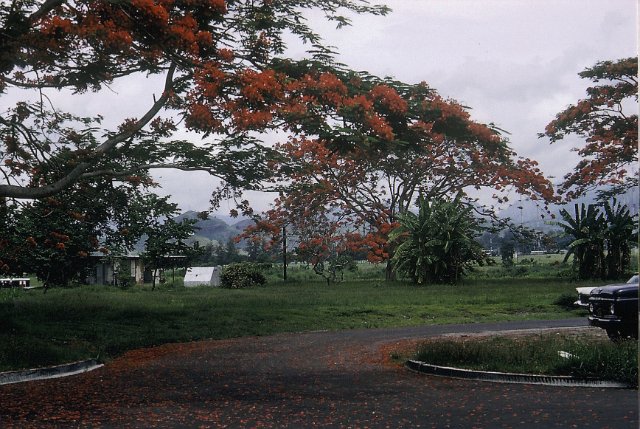 x Phlippines Clark Air base, Spend three days in Hospital here after appendix taken out 1