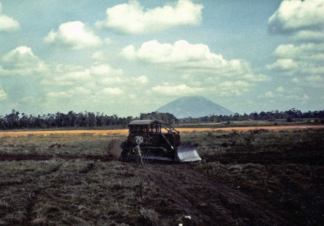 x Roam Plows in the Jungle all done w nui ba dinh