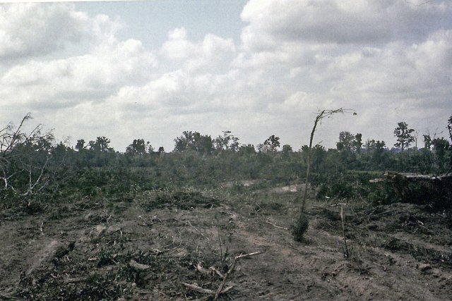 x Roam Plows in the Jungle mostly done