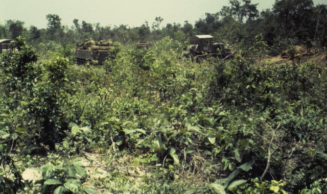 x Roam Plows in the Jungle start